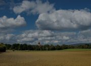 Trik Beli Tanah yang Jarang Orang Mau Kasih Tau