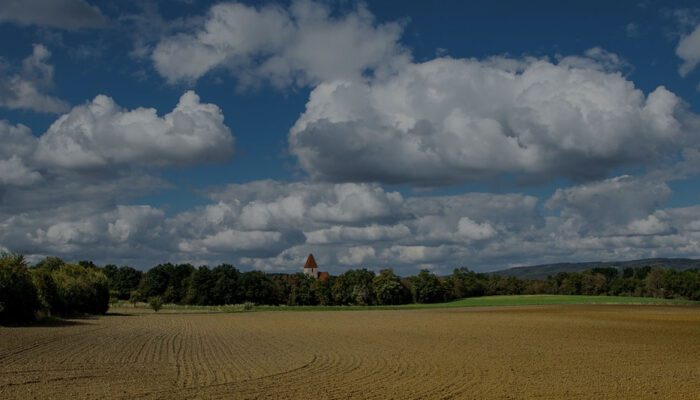 Trik Beli Tanah yang Jarang Orang Mau Kasih Tau